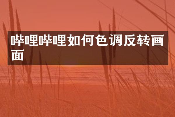 哔哩哔哩如何色调反转画面