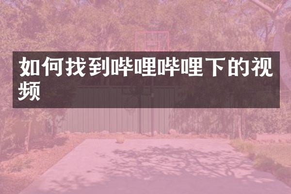 如何找到哔哩哔哩下的视频