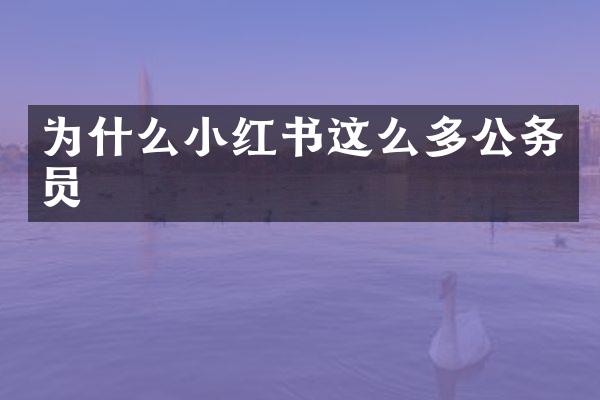 为什么小红书这么多公务员