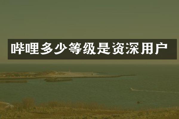 哔哩多少等级是资深用户