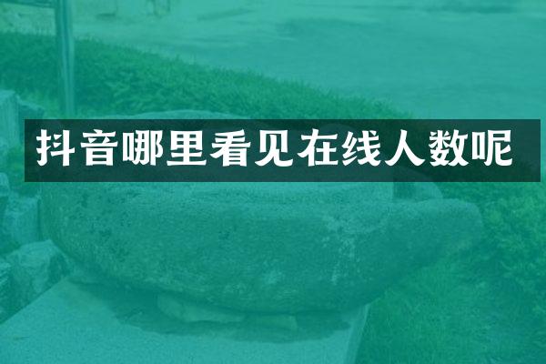 抖音哪里看见在线人数呢