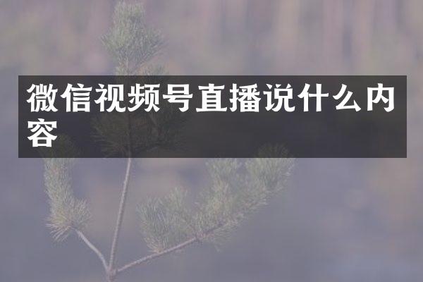 微信视频号直播说什么内容