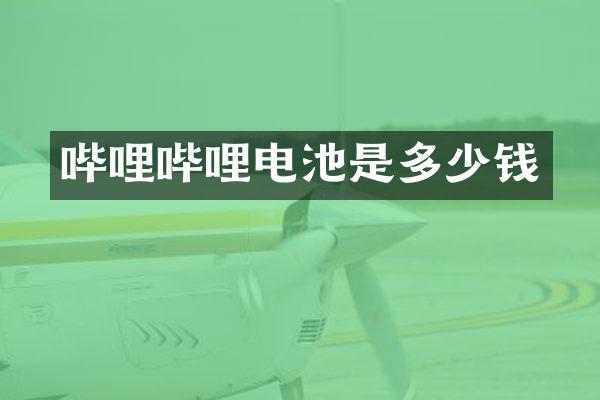 哔哩哔哩电池是多少钱