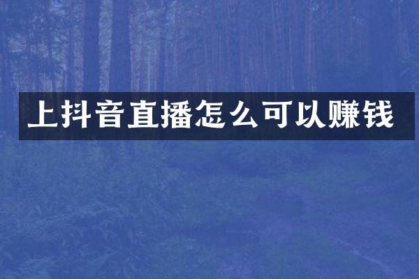 上抖音直播怎么可以赚钱