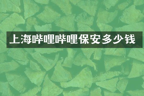 上海哔哩哔哩保安多少钱