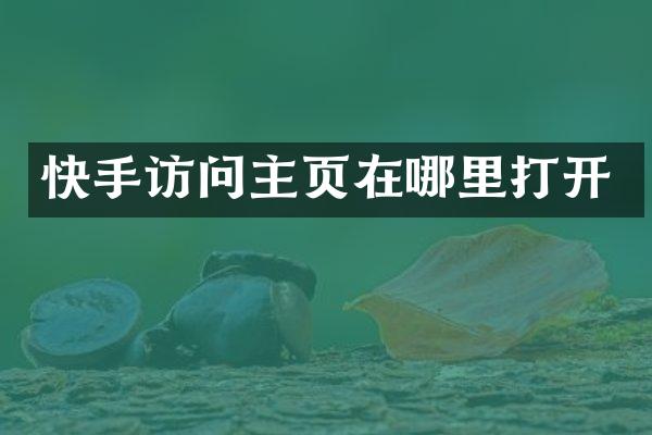 快手访问主页在哪里打开