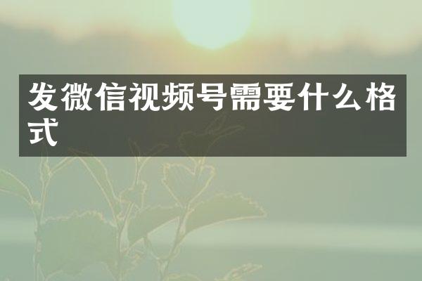 发微信视频号需要什么格式