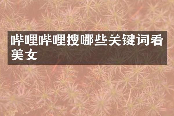 哔哩哔哩搜哪些关键词看