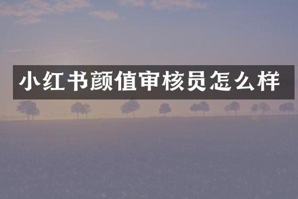 小红书颜值审核员怎么样