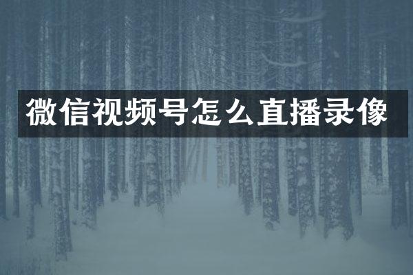 微信视频号怎么直播录像
