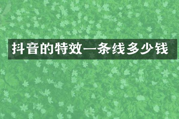 抖音的特效一条线多少钱
