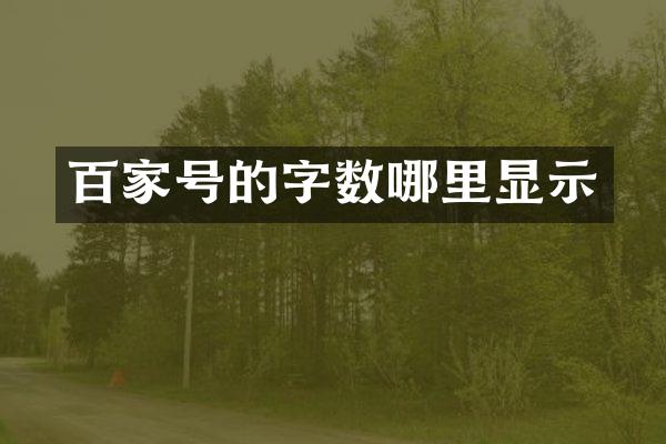 百家号的字数哪里显示