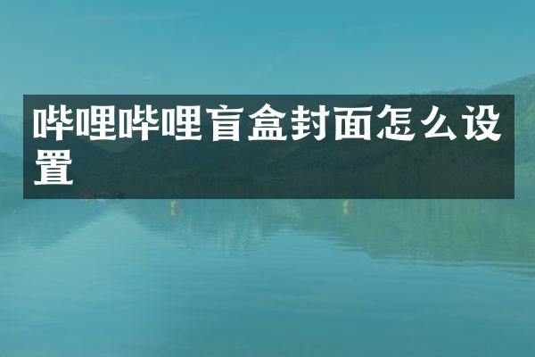 哔哩哔哩盲盒封面怎么设置