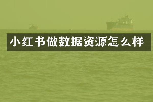 小红书做数据资源怎么样