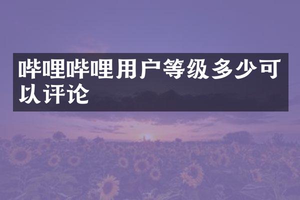 哔哩哔哩用户等级多少可以评论