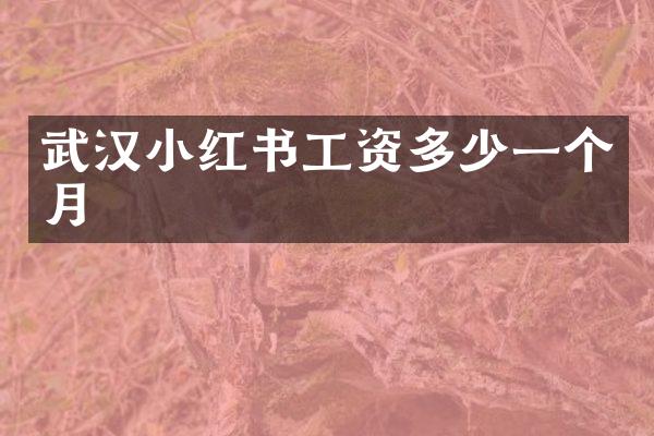 武汉小红书工资多少一个月