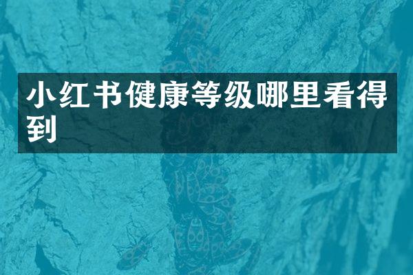 小红书健康等级哪里看得到
