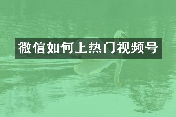 微信如何上热门视频号