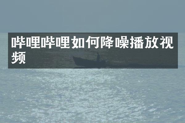 哔哩哔哩如何降噪播放视频