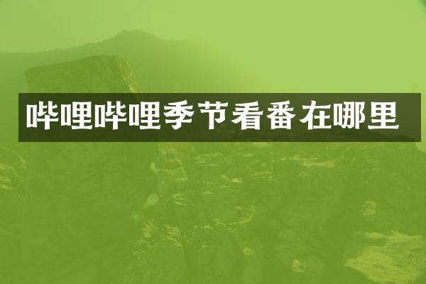 哔哩哔哩季节看番在哪里