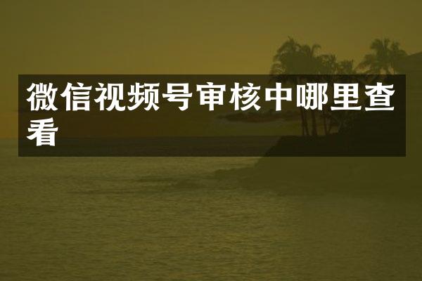 微信视频号审核中哪里查看