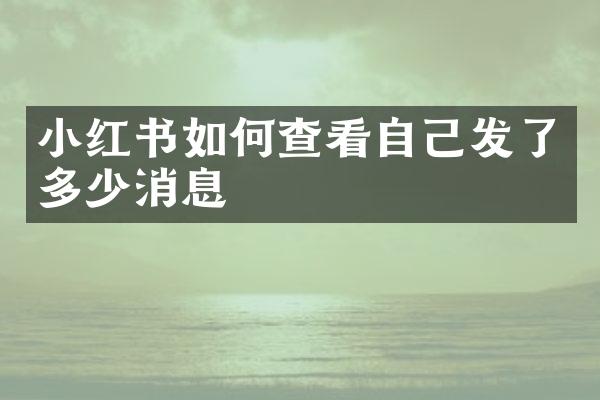 小红书如何查看自己发了多少消息