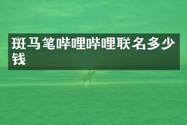 斑马笔哔哩哔哩联名多少钱