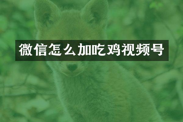 微信怎么加吃鸡视频号