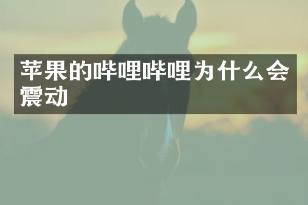 苹果的哔哩哔哩为什么会震动