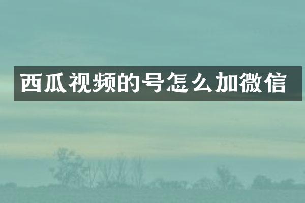 西瓜视频的号怎么加微信
