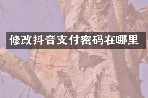 修改抖音支付密码在哪里