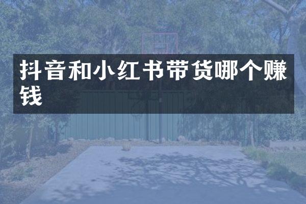抖音和小红书带货哪个赚钱