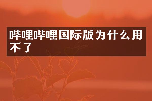 哔哩哔哩国际版为什么用不了