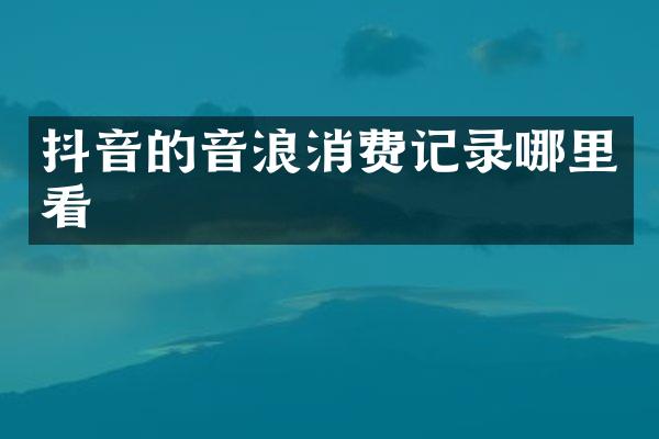 抖音的音浪消费记录哪里看