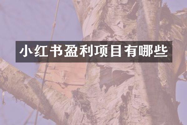 小红书盈利项目有哪些