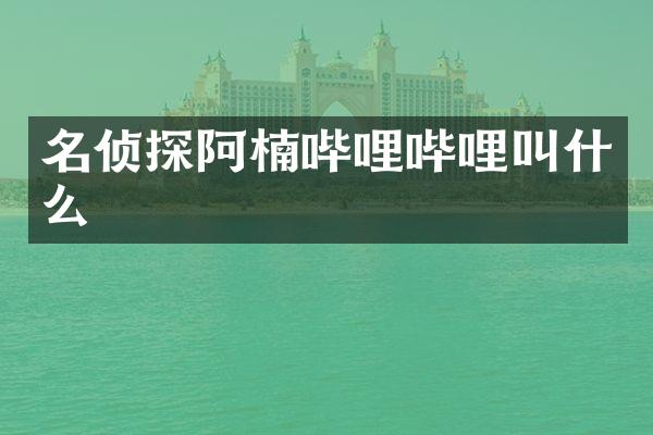 名侦探阿楠哔哩哔哩叫什么