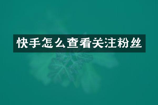 快手怎么查看关注粉丝