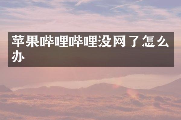 苹果哔哩哔哩没网了怎么办