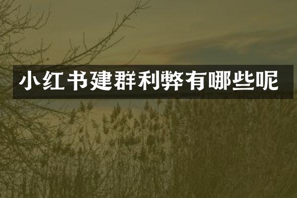 小红书建群利弊有哪些呢