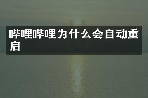 哔哩哔哩为什么会自动重启