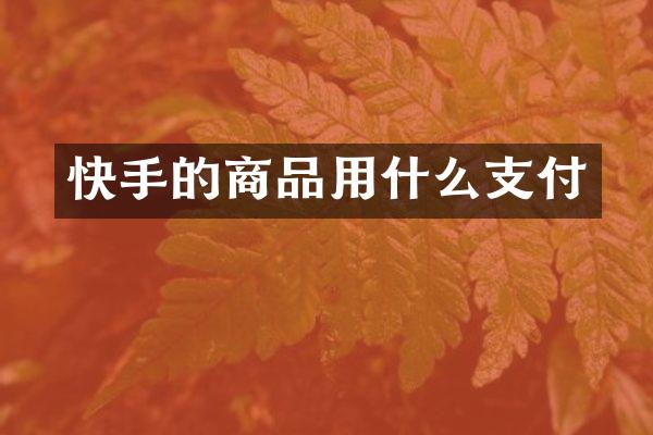 快手的商品用什么支付
