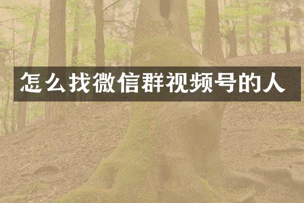 怎么找微信群视频号的人