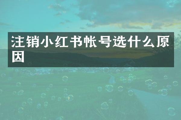 注销小红书帐号选什么原因