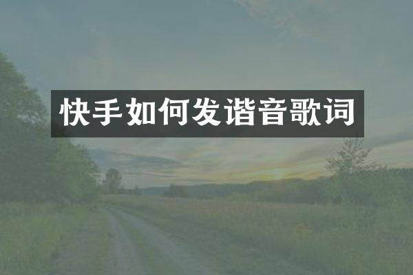 快手如何发谐音歌词