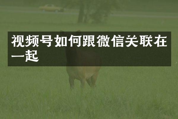 视频号如何跟微信关联在一起