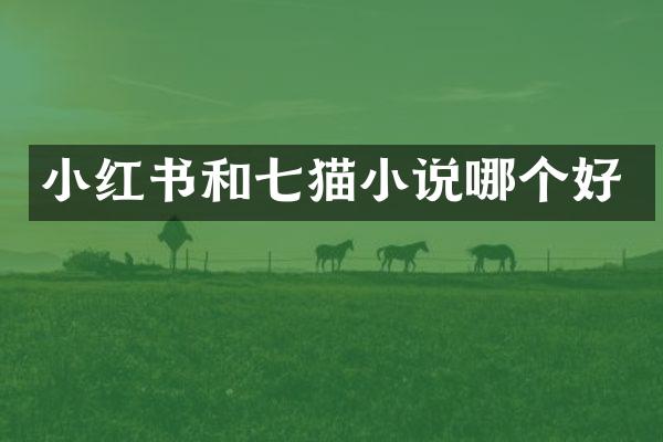 小红书和七猫小说哪个好