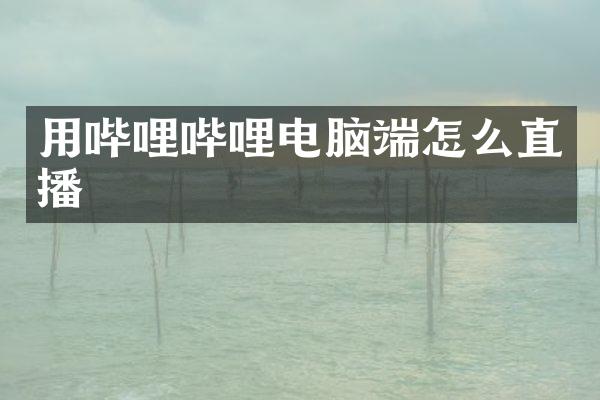用哔哩哔哩电脑端怎么直播