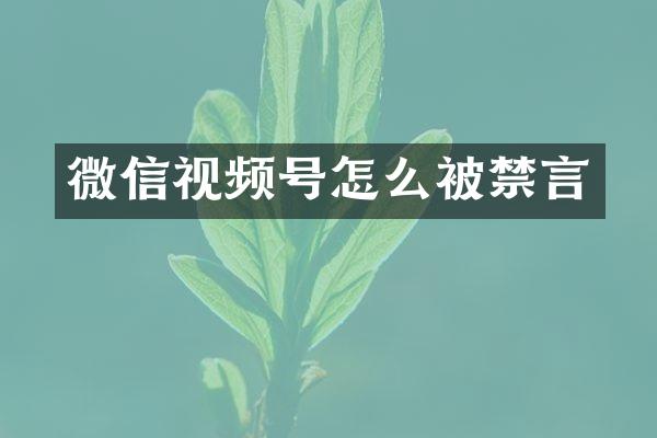 微信视频号怎么被禁言