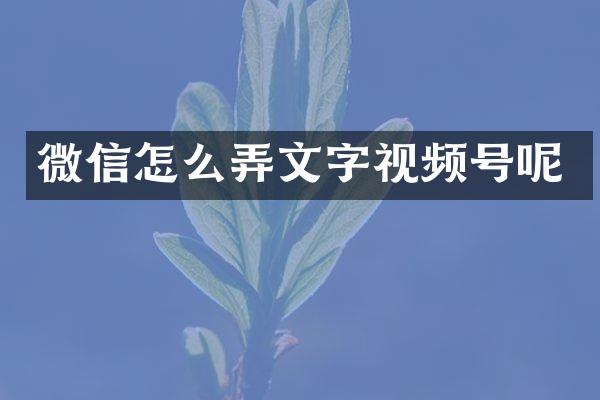 微信怎么弄文字视频号呢
