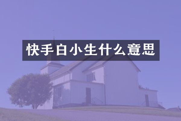 快手白小生什么意思